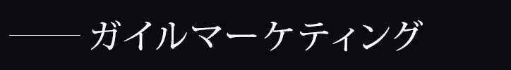 ガイルマーケティング