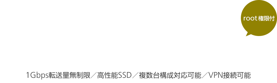 あらゆるビジネスを加速させる CPIのroot権限付 物理専用サーバー 1Gbps転送量無制限/高性能SSD/複数台構成対応可能/VPN接続