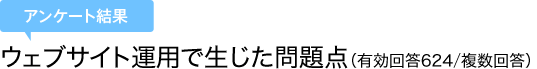 アンケート結果：Webサイト運用で生じた問題点（有効回答 624/複数回答）